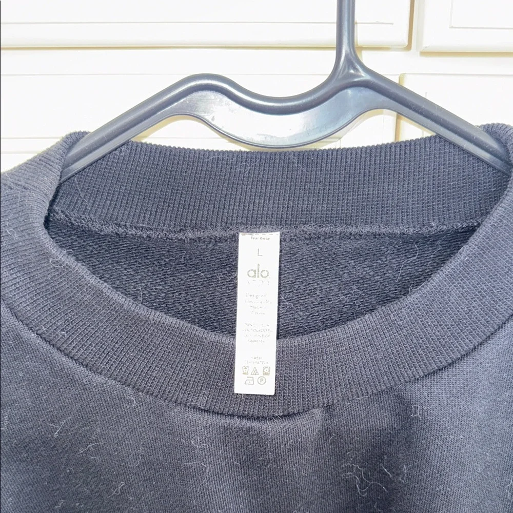 ALO Cropped Sweatshirt
